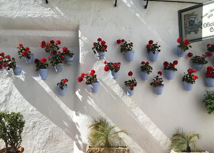 Apartamento Paris Dream - Torremolinos