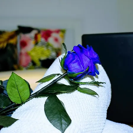 Paris Dream - Appartement *