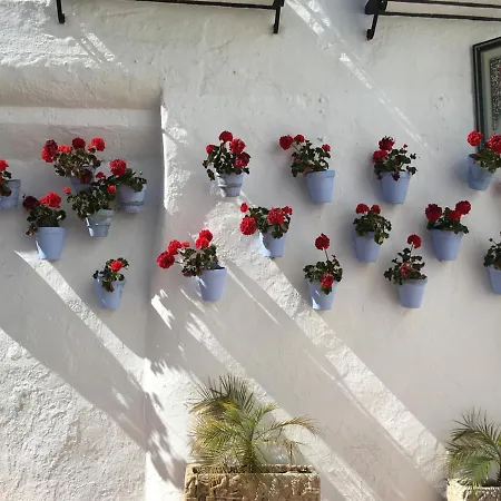 Lägenhet Paris Dream - Torremolinos